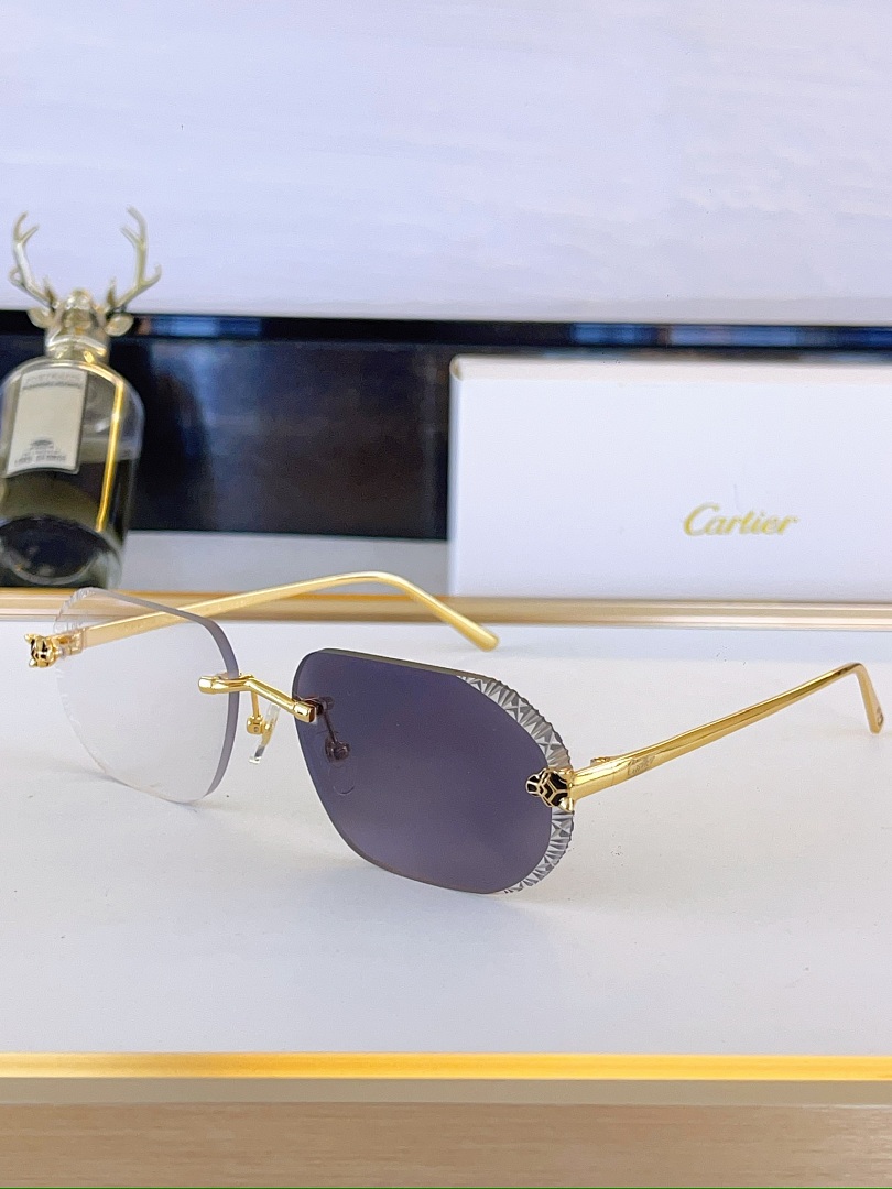 Cartier Sunglasses - Model CT-13